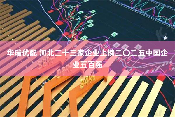 华瑞优配 河北二十三家企业上榜二〇二五中国企业五百强