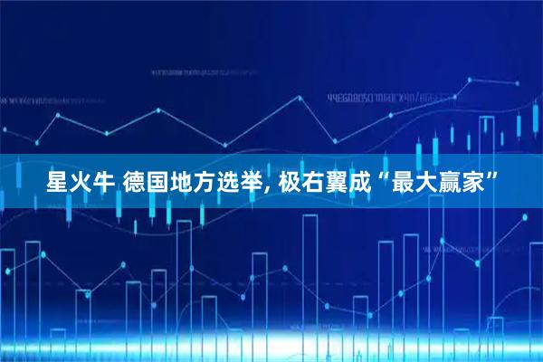 星火牛 德国地方选举, 极右翼成“最大赢家”