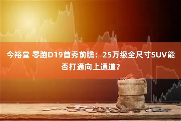 今裕堂 零跑D19首秀前瞻：25万级全尺寸SUV能否打通向上通道？