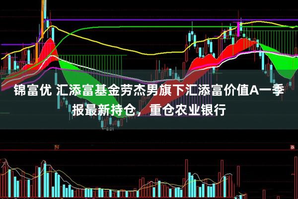 锦富优 汇添富基金劳杰男旗下汇添富价值A一季报最新持仓，重仓农业银行