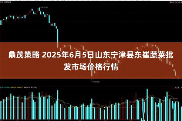 鼎茂策略 2025年6月5日山东宁津县东崔蔬菜批发市场价格行情