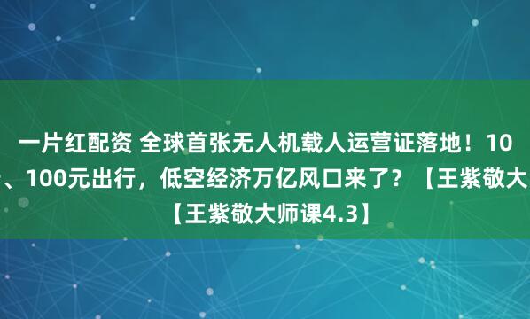 一片红配资 全球首张无人机载人运营证落地！10分钟飞行、100元出行，低空经济万亿风口来了？【王紫敬大师课4.3】