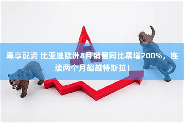 尊享配资 比亚迪欧洲8月销量同比暴增200%，连续两个月超越特斯拉！