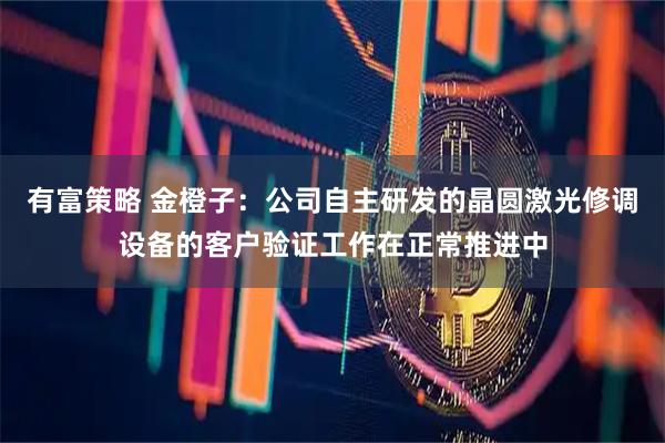 有富策略 金橙子：公司自主研发的晶圆激光修调设备的客户验证工作在正常推进中