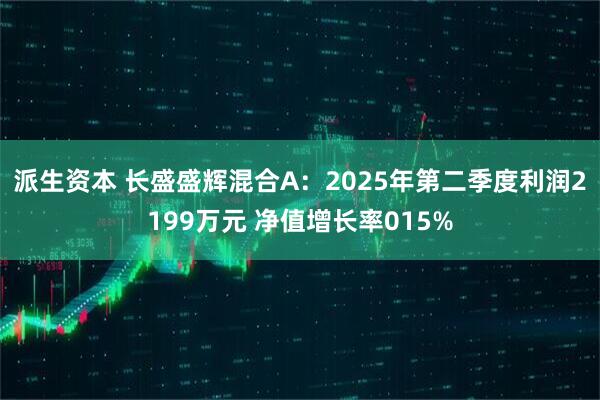 派生资本 长盛盛辉混合A：2025年第二季度利润2199万元 净值增长率015%